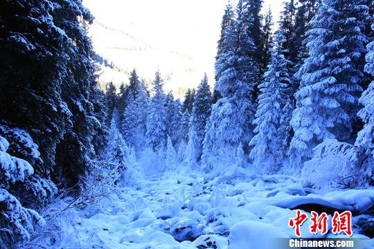 新疆雪域奇观，一摄像头记录下的雪崩过程